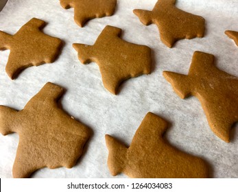 Freshly baked Texas shaped gingerbread cookies on white parchment paper