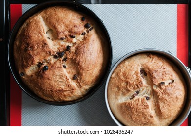 Freshly baked traditional German Easter Bread, Osterbrot, made of Brioche yeast dough with raisins, eggs, milk, flour, yeast and butter in round cake tins on non-stick silicone baking mat