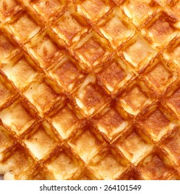 Freshly Baked Waffle Texture. Top View.