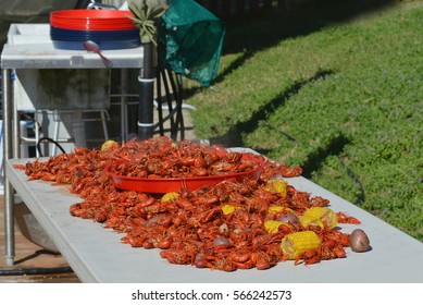 Freshly Boiled Hot Louisiana Crawfish Spread On Outdoor Table With Potatoes And Corn On The Cob.