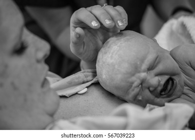 Freshly Born Baby Skin To Skin On Mothers Chest Caucasian Female Newborn Screaming First Breath Of Life Crying Healthy Relieved Happy Mother With Mummy In Soft Focus In Background Black And White