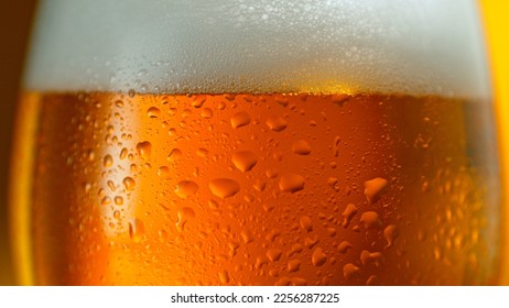 Freshly brewed beer in a pint on orange gradient background, close-up - Powered by Shutterstock