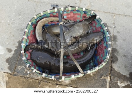 Similar – Image, Stock Photo Freshly Caught Catfish on a Ceramic Plate on an old Wooden Boardwalk
