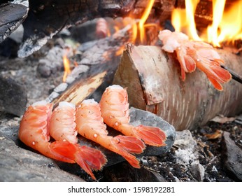 Freshly Caught Delicious Alaskan Shrimp Cooking On Lava Rocks By A Camp Fire.