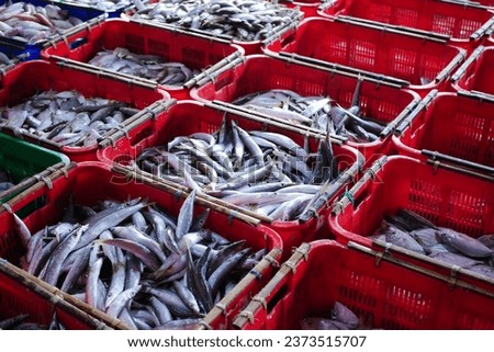 freshly caught fish in crates available for sale at indonesia fish market