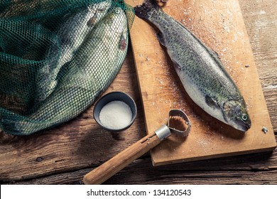 Freshly Caught Fish For Dinner