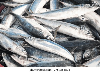 Freshly caught fish displayed in multiple plastic buckets at a traditional fish market. The image shows abundance of small pelagic fish, likely mackerel or scad, arranged in red and green containers. Captured in a coastal fisheries environment, this scene represents local seafood supply, fishing industry, and market distribution in Indonesia.