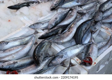 Freshly Caught Fish In The Open Air Market. Fresh Raw Fish In Box Filled With Ice.