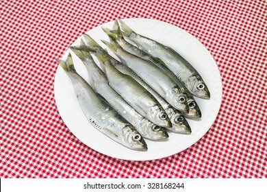 Freshly Caught Herring Before Cooking On A White Plate