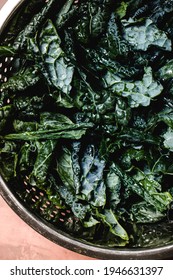 Freshly Chopped Black Kale In A Bowl