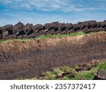 Freshly cut blocks of peat stacked in rows above a trench in the peat base and lying in the sun to dry. Taken in the Outer Hebrides, Scotland, UK on a sunny day in summer. 