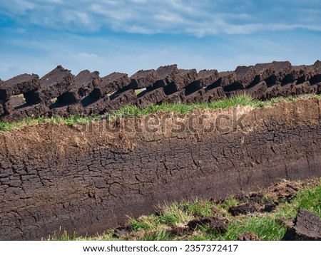 Freshly cut blocks of peat stacked in rows above a trench in the peat base and lying in the sun to dry. Taken in the Outer Hebrides, Scotland, UK on a sunny day in summer. 