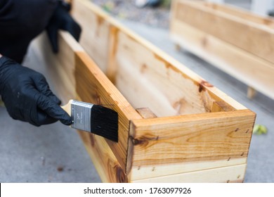 Freshly Cut Cedar Wood Flower Garden Planter Boxes