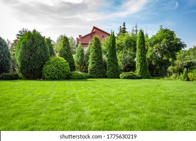 Freshly cut grass in the backyard of a private house. - Shutterstock ID 1775630219