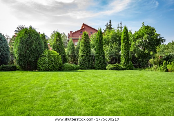 Freshly cut\
grass in the backyard of a private\
house.