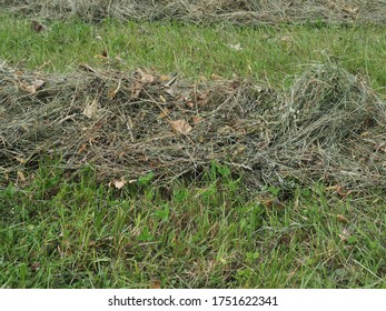 653 Hay Windrow Images, Stock Photos & Vectors 