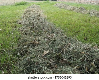 653 Hay windrow Images, Stock Photos & Vectors | Shutterstock