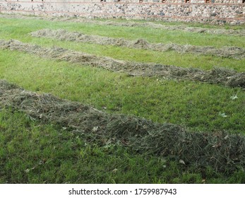 653 Hay windrow Images, Stock Photos & Vectors | Shutterstock