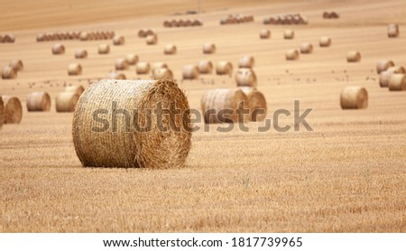 Similar – Image, Stock Photo Fresh hay Hay Hay harvest
