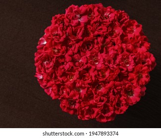 Freshly Cut Red Rose Blossoms Arranged In A Cirlce