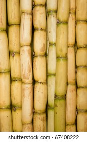 Freshly Cut Sugar Cane Group Together As A Texture Background