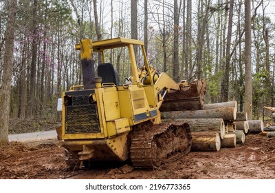 Freshly Cut Trees For Residential Construction Site In Backhoe Clearing Forest On Land Clearing