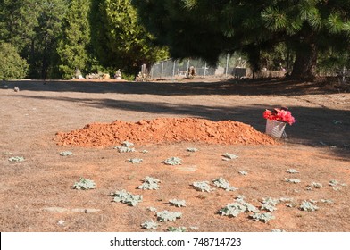 Freshly Dug Unmarked Grave Site