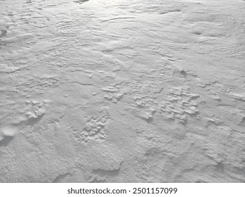 Freshly fallen snow creates intricate textures on the ground in winter's calm embrace. - Powered by Shutterstock