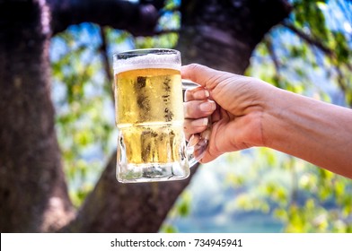 Freshly Filled Beer Glass Raised With Hand