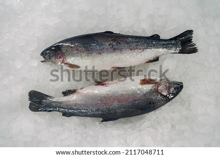 freshly frozen fish from the sea, river fish, fish steak, sliced ​​fish, red fish, against the background of ice