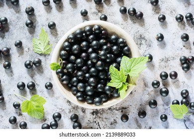 Freshly gathered black currants with leaves in a plate and on grey surface background inside, fresh black currants in dish, harvest of black currants in rustic style, top view