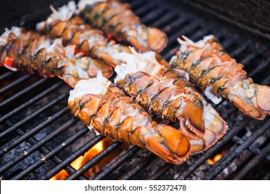 Freshly Grilled Giant Lobsters. Lobster Food Festival