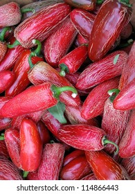 Freshly Harvested Chipotle Peppers