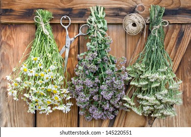 Freshly harvested herbs hanging and drying  - Shutterstock ID 145220551
