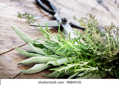 Freshly harvested herbs with old antique scissors on wood background. Fresh sage, thyme, mint and rosemary leaves