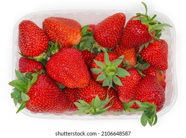 Freshly Harvested Ripe Garden Strawberries In Small Translucent Food Container On A White Background, Top View Close-up
