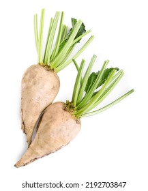 Freshly harvested sugar beets on white background, top view