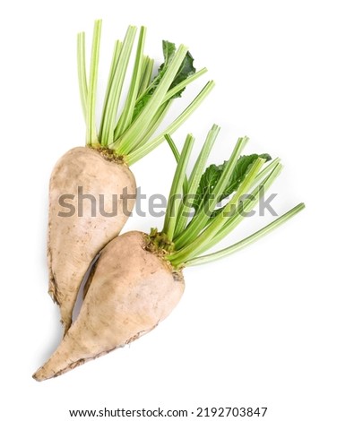 Freshly harvested sugar beets on white background, top view