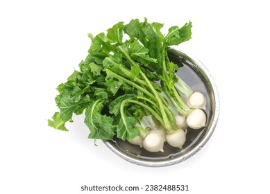 Freshly harvested turnips on a white background - Powered by Shutterstock
