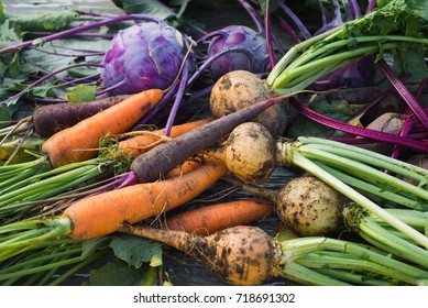 1,302,051 Organic farming Stock Photos, Images & Photography | Shutterstock