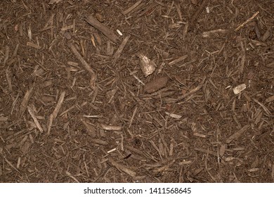 Freshly Laid Dark Brown Ground Mulch Covering A Garden Area. Full Frame Background Image.