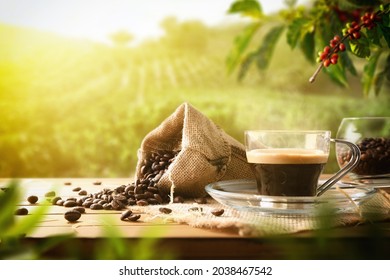 Freshly Made Coffee On Wooden Table With Sack Full Of Beans And Plants And Coffee Fields In The Background With Sun Rays. Front View. Horizontal Composition.