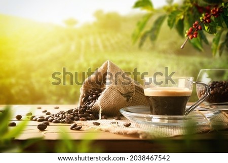 Freshly made coffee on wooden table with sack full of beans and plants and coffee fields in the background with sun rays. Front view. Horizontal composition.