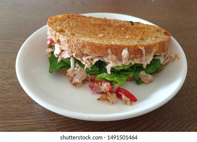 Freshly Made Grilled Tuna Melt Sandwich With Cheddar Cheese And Whole Wheat Bread.