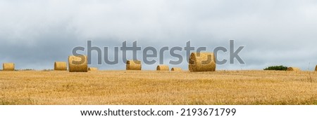 Similar – Image, Stock Photo Fresh hay Hay Hay harvest