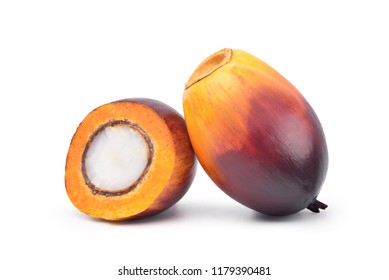Freshly Oil Palm seed with cut in half isolated on white background with clipping path.