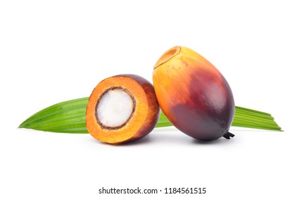 Freshly Oil Palm seed and cut in half with green leaf isolated on white background.