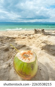 Freshly opened for drinking healthy coconut water. In the shade on a lazy tropical beach in the Philppines islands,with white,fine sand,clear blue sea,palm trees,clean,un-polluted,serene.
