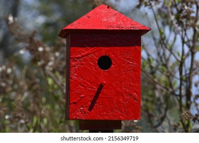 Freshly Painted Bird House, Ready For Birds