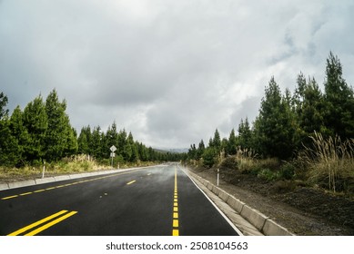 A freshly paved road stretches into the distance, flanked by lush green trees on either side under a cloudy sky. The wet pavement reflects the overcast weather, creating a moody atmosphere. The image  - Powered by Shutterstock